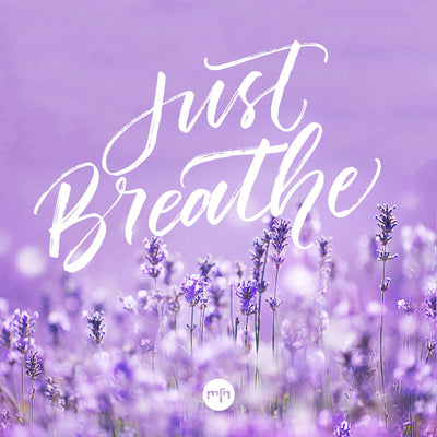INSPIRATION TO SLOW DOWN AND BREATHE