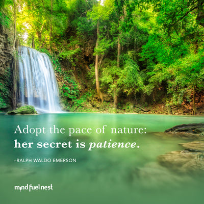 6 INSPIRING QUOTES