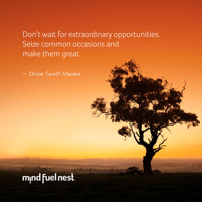 SEIZE THE MOMENT